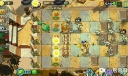 海盗港湾爆料事件视频,惊心动魄的真相大曝光