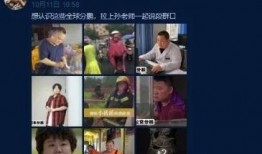 辽宁最新爆料事件视频,视频揭露惊人真相