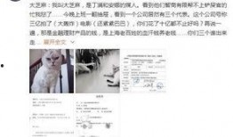 真实娱乐圈爆料文字图片,某明星恋情曝光，细节惊人！