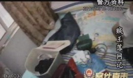 贼王最新爆料视频,最新爆料视频深度解析