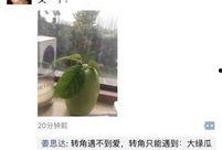 爆料生姜的视频,养生佳品背后的神奇功效