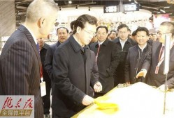 西峰丽晶茂最新爆料,揭秘未来城市生活新地标