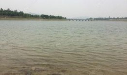 东风水库爆料视频播放大全,揭秘水库背后的故事与真相