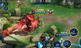 王者荣耀小仔爷爆料视频,揭秘游戏幕后精彩瞬间