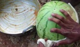 荷兰网红吃瓜事件真相是真的吗,真相揭秘，是真是假？