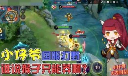 王者荣耀小仔爷爆料视频,揭秘游戏幕后精彩瞬间