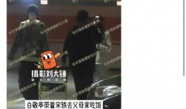 刘大锤最新爆料命韵峋环