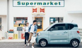 五菱新能源爆料视频播放