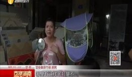 拍视频爆料给谁看违法吗,向谁举报违法？法律边界何在？