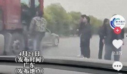 辽宁最新爆料事件视频,视频揭露惊人真相