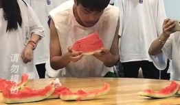 吃瓜大赛在线播放免费观看全集,免费观看全集，揭秘娱乐圈幕后风云