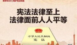 新会新闻爆料,揭秘当地热点事件背后的真相