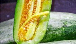 吃瓜的一个网红,揭秘吃瓜网红的爆红之路