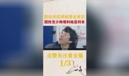 国民党爆料邓丽君视频,揭秘天后背后鲜为人知的一面