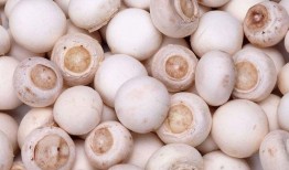 蘑菇视频爆料吃瓜,吃瓜群众热议幕后真相