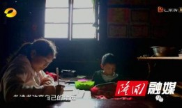 爆料高密玉禾田事件视频,真相背后引人深思