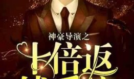 娱乐爆料系统类小说推荐,揭秘爆料系统背后的权力游戏