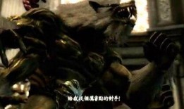 黑龙驯养者爆料视频大全