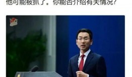 新闻爆料诈骗犯被抓视频,警方曝光抓捕全过程