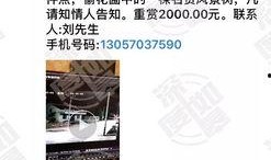 网上爆料视频,视频内容深度解析