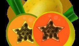 娱乐吃瓜模板素材图片大全,吃瓜素材图片大全，带你领略明星幕后故事