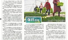 石城新闻爆料2021,年度热点事件回顾