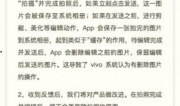 新疆热点爆料事件最新,揭秘最新冲突背后的真相与影响