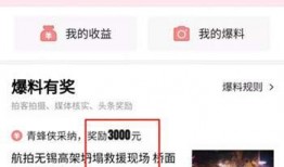 头条爆料视频怎么弄,如何快速提炼核心内容，打造精彩概述