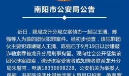 南阳特岗爆料公告最新,公告解读与报考指南
